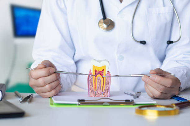Best Chipped Tooth Repair Near Me  in Sayre, PA